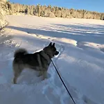 Casa vacanze Nyrestaurert Og Koselig Ved Skjelbredvatnet. Sandvika (Lierne)