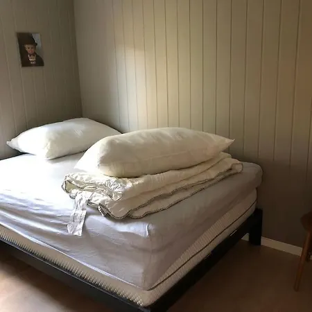 Vakantiehuis Nyrestaurert Og Koselig Ved Skjelbredvatnet.