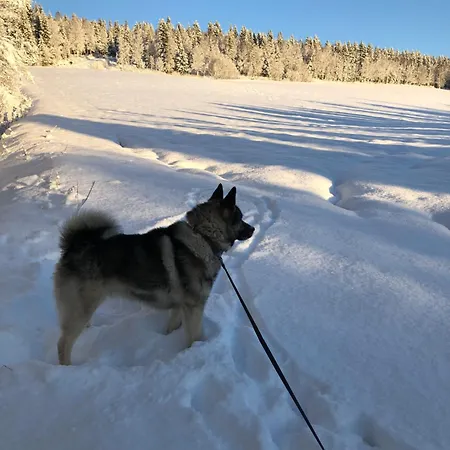 Casa vacanze Nyrestaurert Og Koselig Ved Skjelbredvatnet. Sandvika (Lierne)