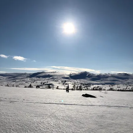 Nyrestaurert Og Koselig Ved Skjelbredvatnet.