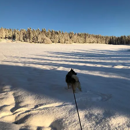 Nyrestaurert Og Koselig Ved Skjelbredvatnet. Vakantiehuis