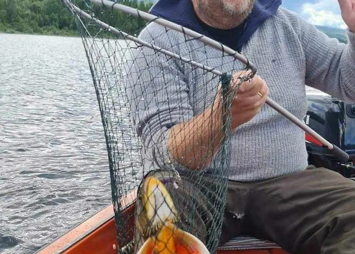 Nyrestaurert Og Koselig Ved Skjelbredvatnet. * Sandvika (Lierne)