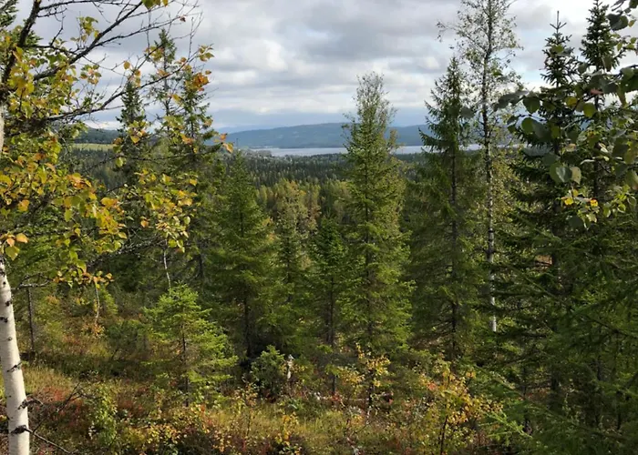 Nyrestaurert Og Koselig Ved Skjelbredvatnet. Ferienhaus Sandvika (Lierne)